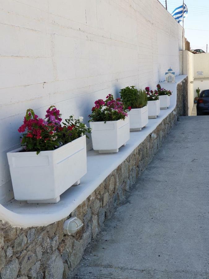 Mykonos Pro-care Suites Ano Mera Exterior foto